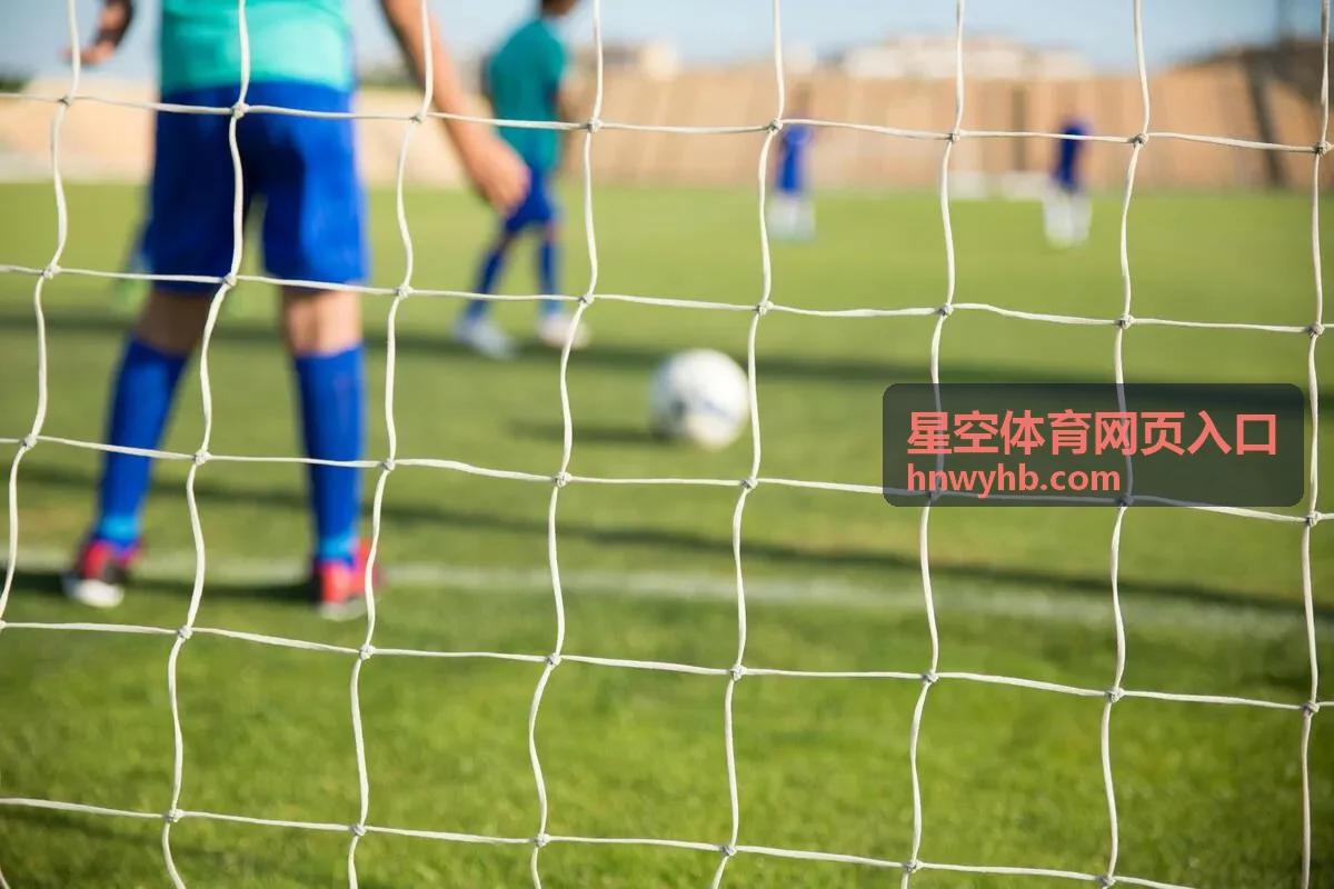 星空体育网页入口的入口导航分类示意图